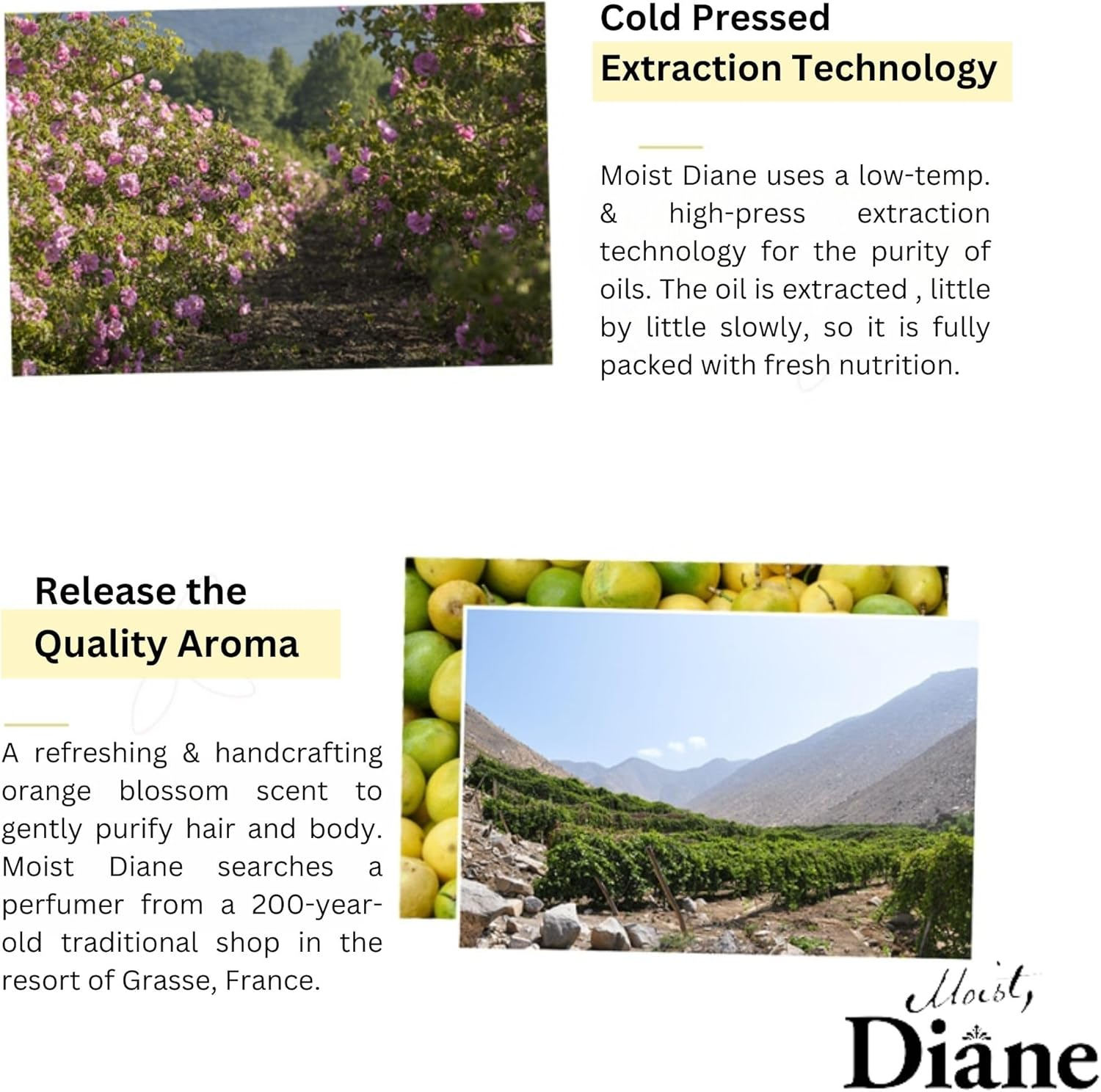 Diane Bonheur Hair & Body Oil [Blue Jasmine Scent] Diane Bonheur 100Ml