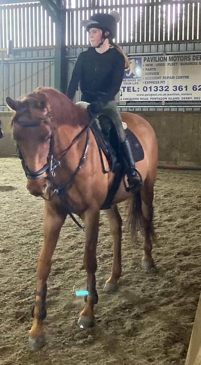 Pet Health Testing - Horse Sensitivity Test Kit | Easy to Use | Non-Invasive Fur Sample | 300 Item Test | Personalised Results Report in 3 Days | AUS Based Testing image number 3