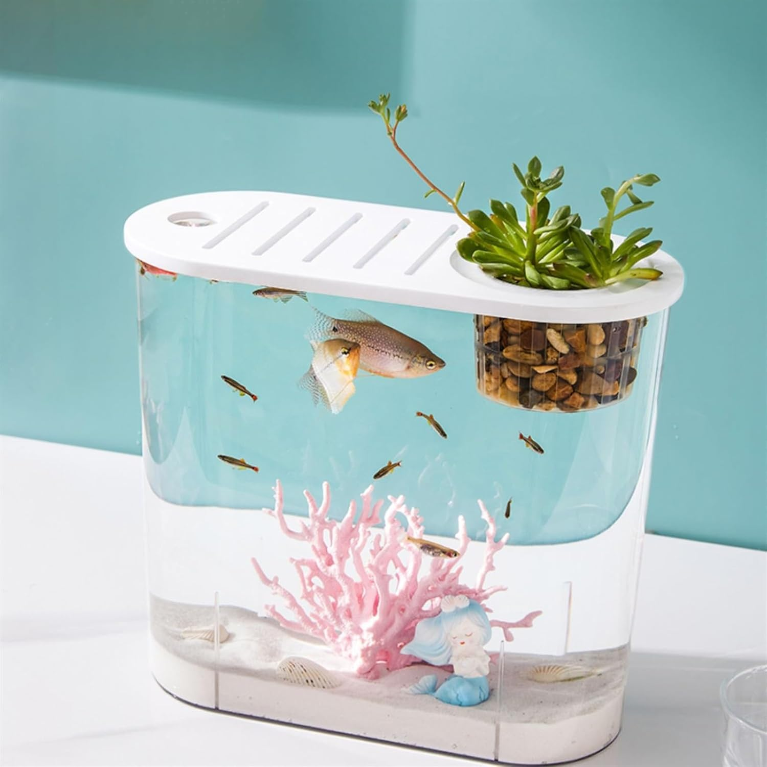 Aquariums Fish Tank Small Micro Landscape Transparent Fish Tank Large Ecological Aquascape Home with Lid Desktop Oval Can Be Planted Aquatic Plants Fish Bowl (Size : L) image number 5