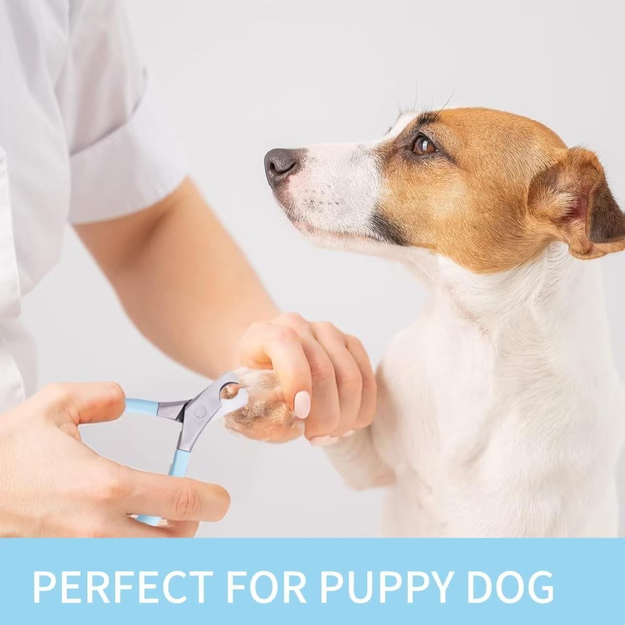 Blue Handle Nickel Iron Single Section round Concave Pliers, 1Pc round Concave Pliers Wire Looping Plier, Professional Stainless Dog Nail Clippers,Pet Grooming Tool for Precise Cutting image number 6