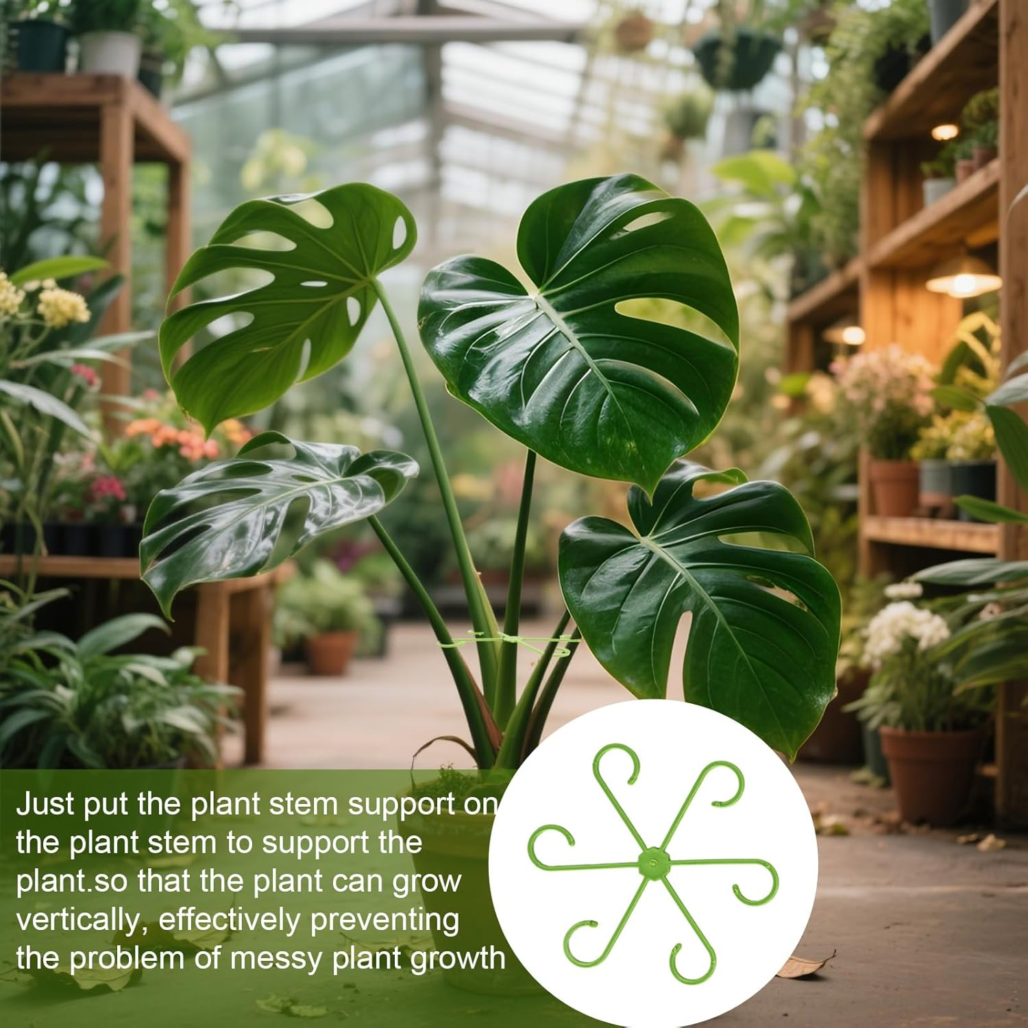 16 Pcs Plant Stem Support, Climbing Houseplant Stem Supports, Plants Holder Hook for Indoor Home Garden (Green) image number 1