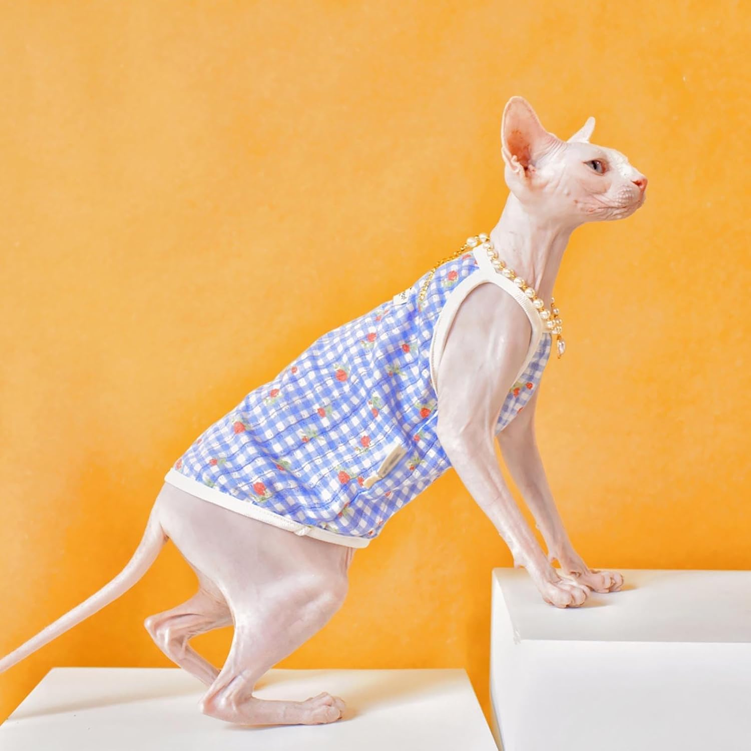 UOSIA Sphynx Hairless Cats Shirt Cornish Rex Plaid Kitten T-Shirts Hairless Cat Summer Vest Breathable Cat Daily Wear Clothes Small Dogs Apparel Pet Pajamas image number 5