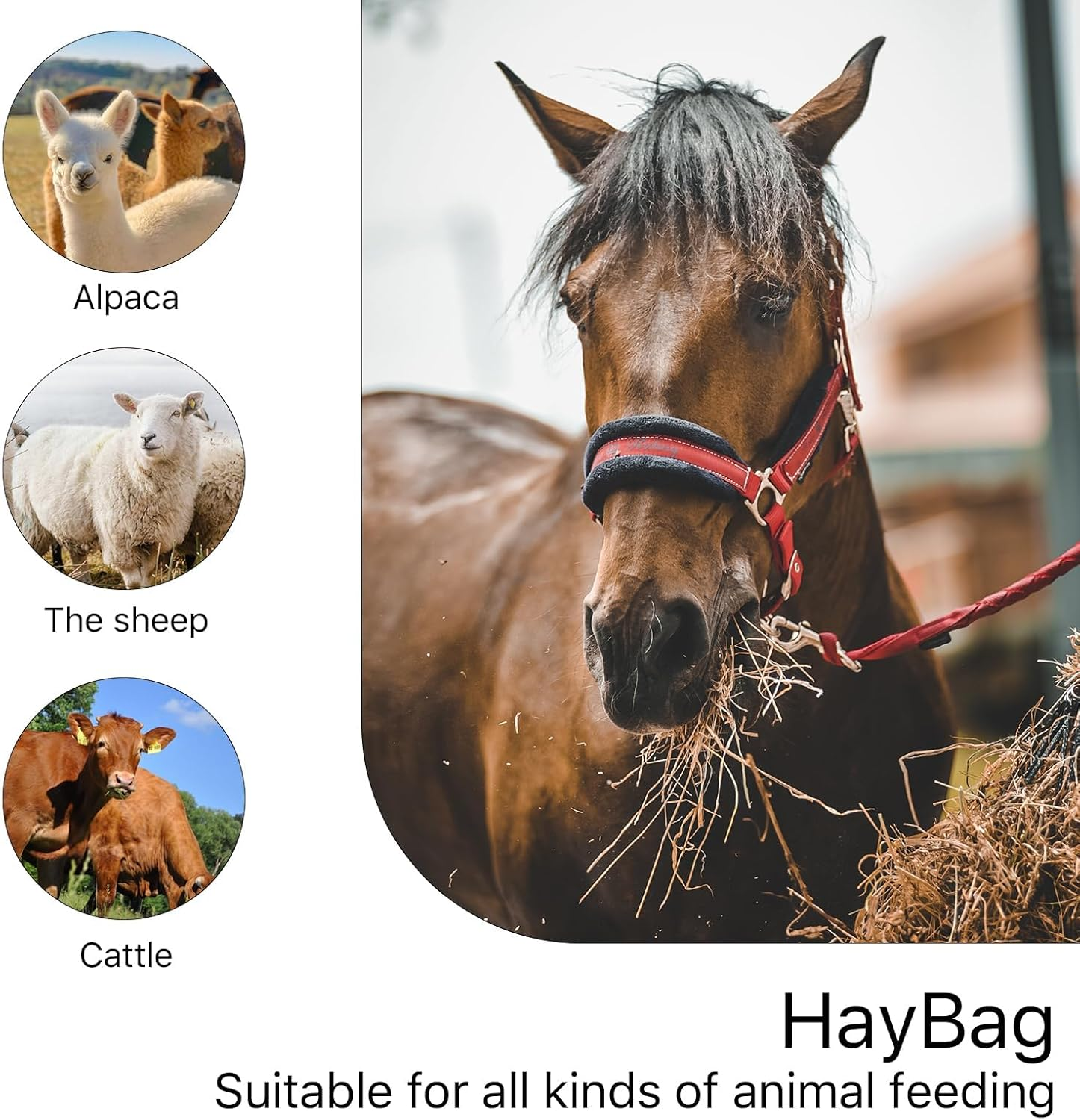 2PCS Hay Bags - 40" Ultra-Slow Feed Hay Net Bag Heavy-Duty Nylon & PE with 4" Holes for Horses, Goats, Sheep, Alpacas - Regulate Hay Intake, Improve Digestion, Hanging Stable Feeder