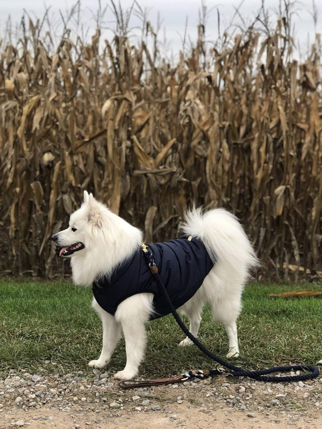 Double Layer Fleece Warm Dog Jacket Coat Vest for Puppy Winter Cold Weather Soft Windproof Apparel for Small Medium Large Dogs (L)