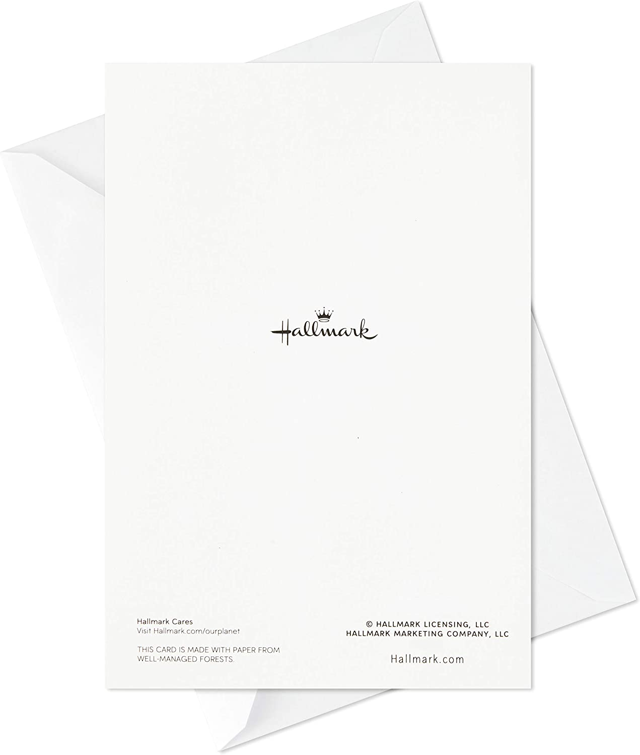 Hallmark Birthday Cards Assortment, 12 Cards with Envelopes (Premium Refill Pack for Hallmark Card Organizer Box), 5EDX1019 image number 5