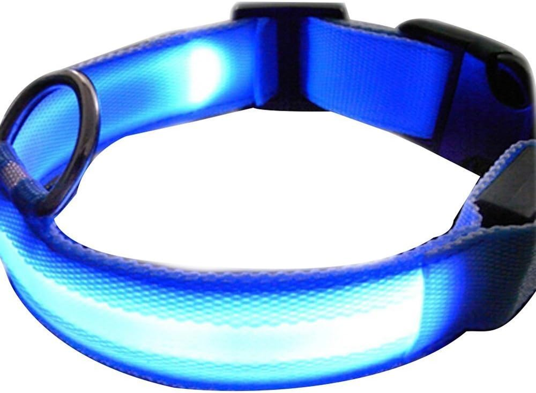 NEO+ UK SELLER ! Improved Dog Visibility & Safety USB Rechargeable LED Dog Safety Collar. Ultra-Bright Led'S. Connects to Devices. Dog Will Be More Visible & Safe (BLUE SIZE XL) image number 5