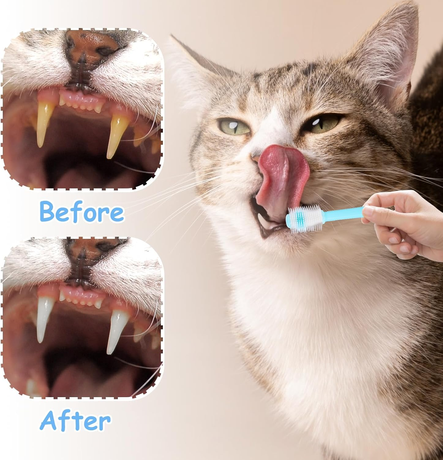 2Pcs Dog Toothbrush Cat Toothbrush, 360 Silicone Toothbrush Small Dog Toothbrush Effective & Deep Pet Teeth Cleaning Cat Dental Care, Puppy Tooth Brushing Kit for Brush Away Bad Breath(Blue, Pink) image number 4