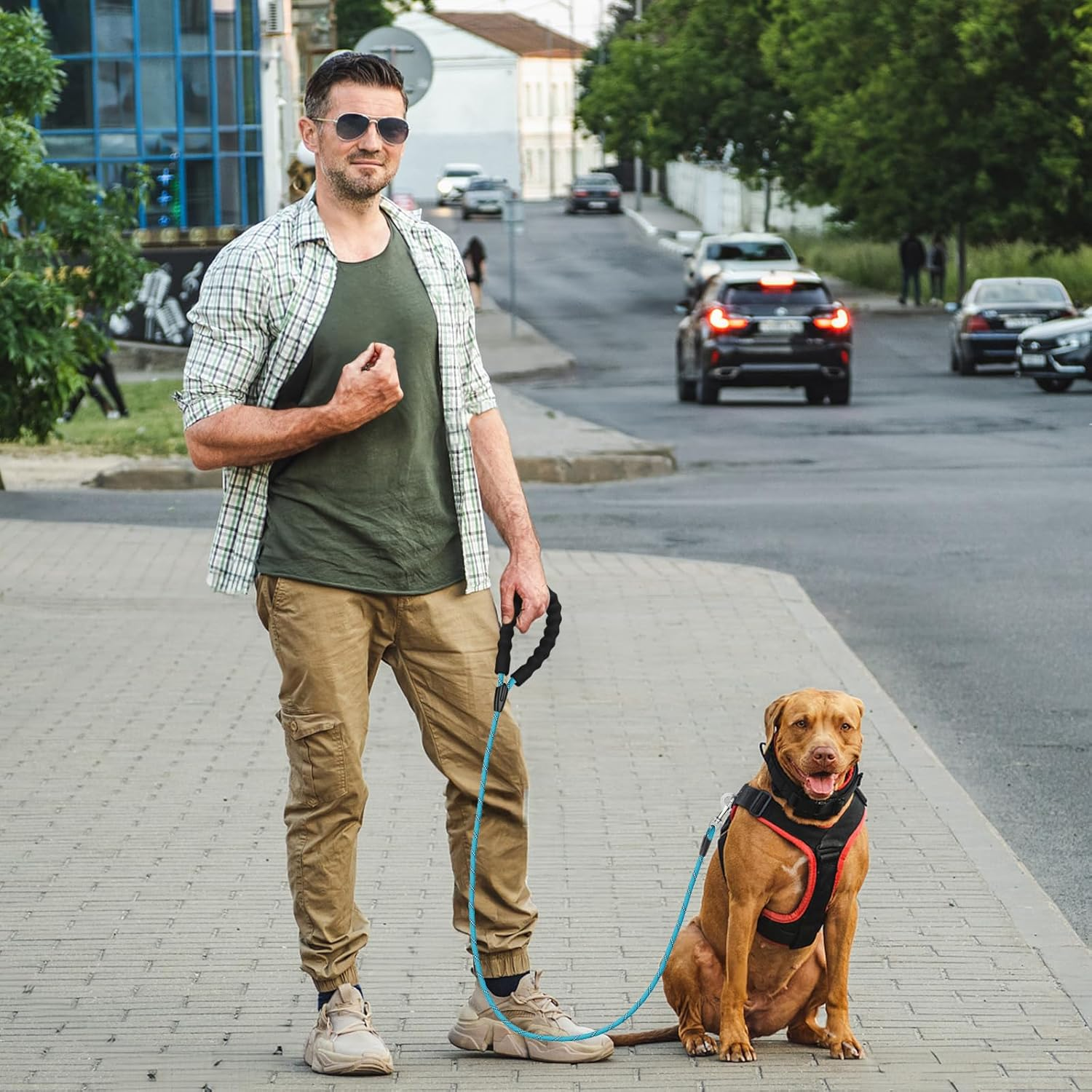 6FT Dog Leash, 1.8M Strong Rope Line Dog Lead Leash with Soft Padded Handle and Heavy Duty Hook, Reflective Recall Training Leads for Large Medium Small Dog,10Mm, Blue