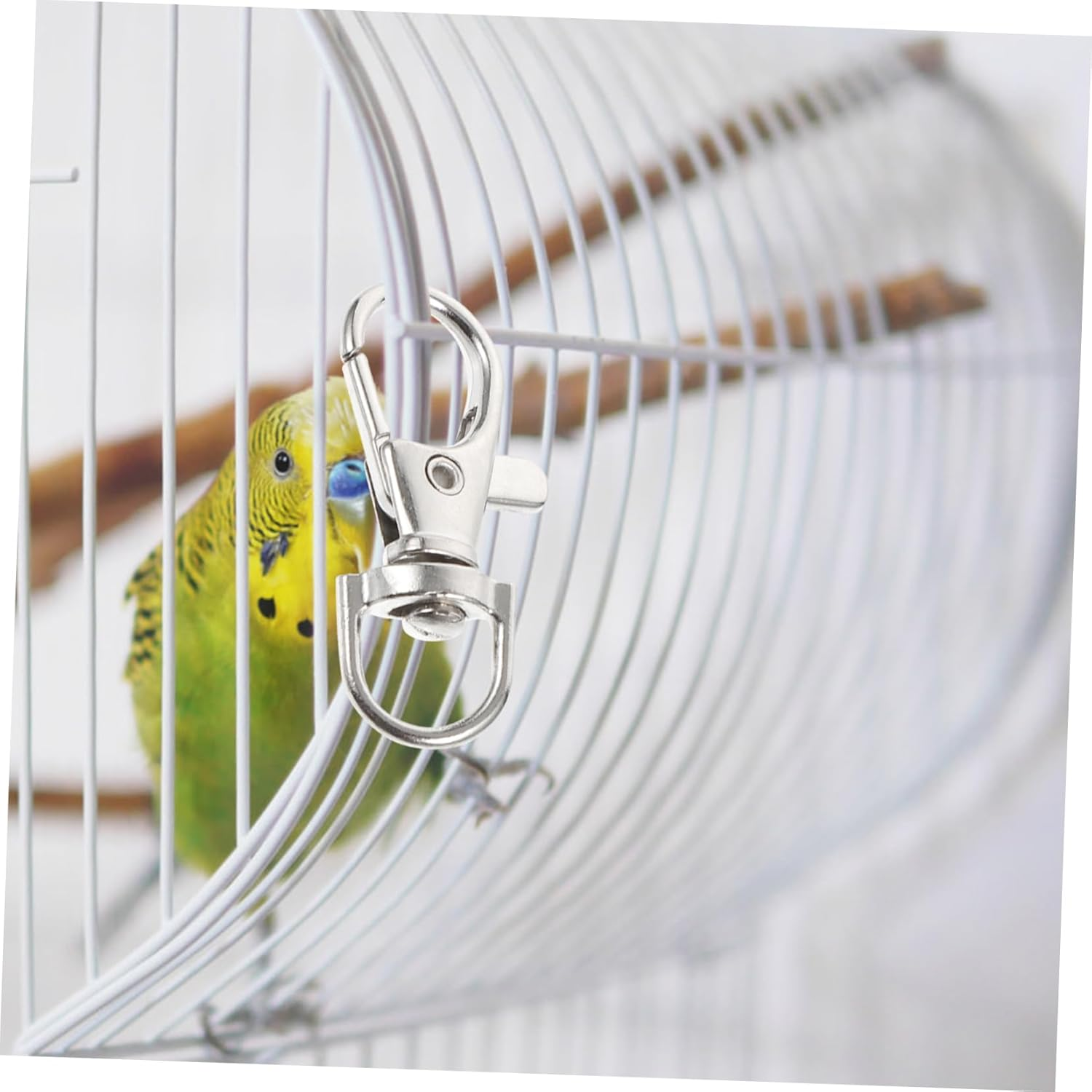 VANZACK 20Pcs Stainless Steel Bird Cage Door Buckle Locks for Birds Prevent Escape Strong Resistant Cage Accessories for Parrots