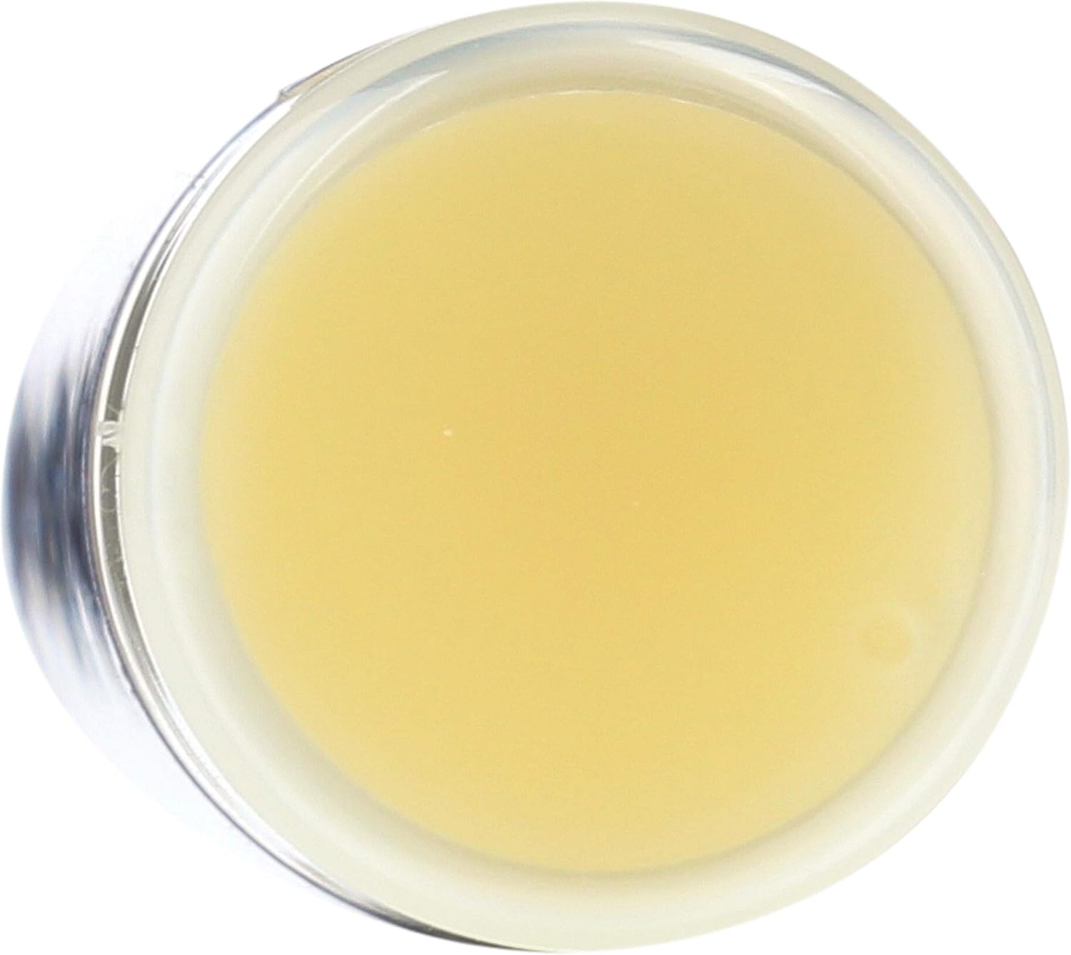 Eco Lips Unflavoured Organic Lip Balm 4.25 G