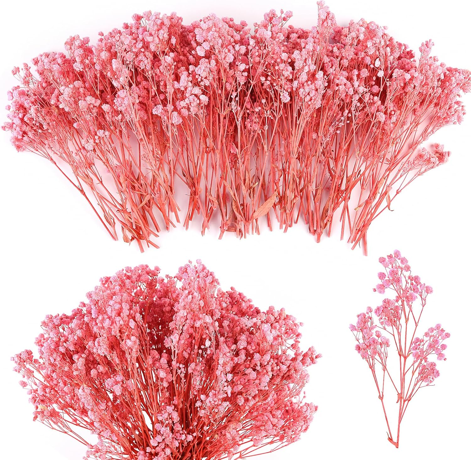 70Pcs Mini Dried Baby'S Breath Flowers 4000+Natural Bulk Flowers Real Flowers Pressing Floral Dried Flowers Pressed Gypsophila Bouquet for Hair Accessory Wedding Card Making (Ivory White)