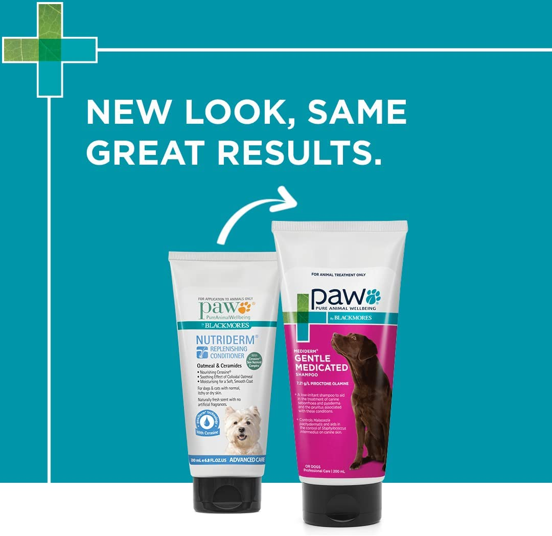 PAW by Blackmores Mediderm&reg; Gentle Medicated Shampoo for Dogs | Promotes Healthy Skin Conditions |200Ml image number 2