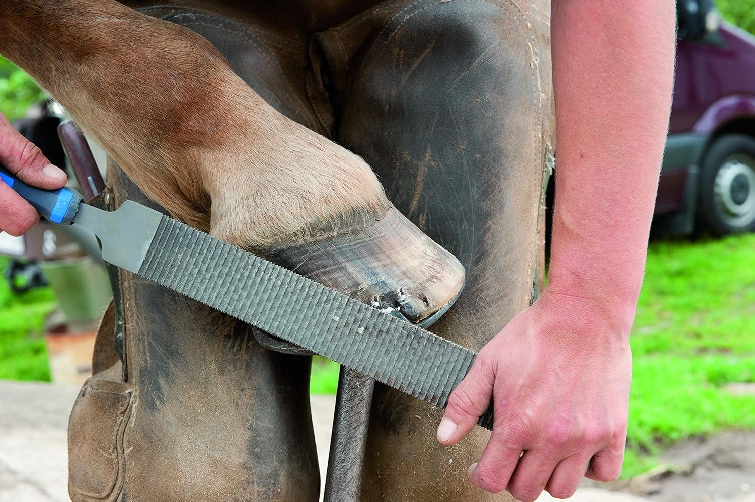 PFERD - Hoof Plane, Efficient, Force and Back-Friendly Hoof Processing, 350 Mm, Rectangular, Flat-Blunt Milled File, 13180350 - Also Suitable for Processing the Hoof Nails after Cutting image number 1