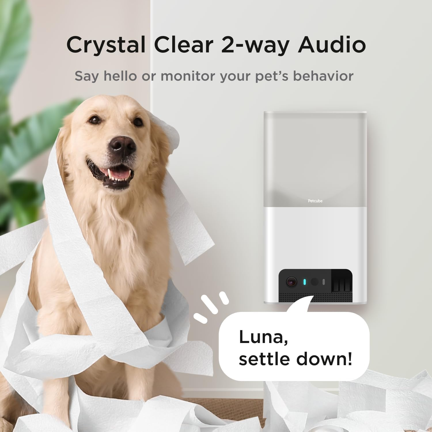 Petcube Bites 2 Lite All-In-One Pet Camera Treater, White image number 4