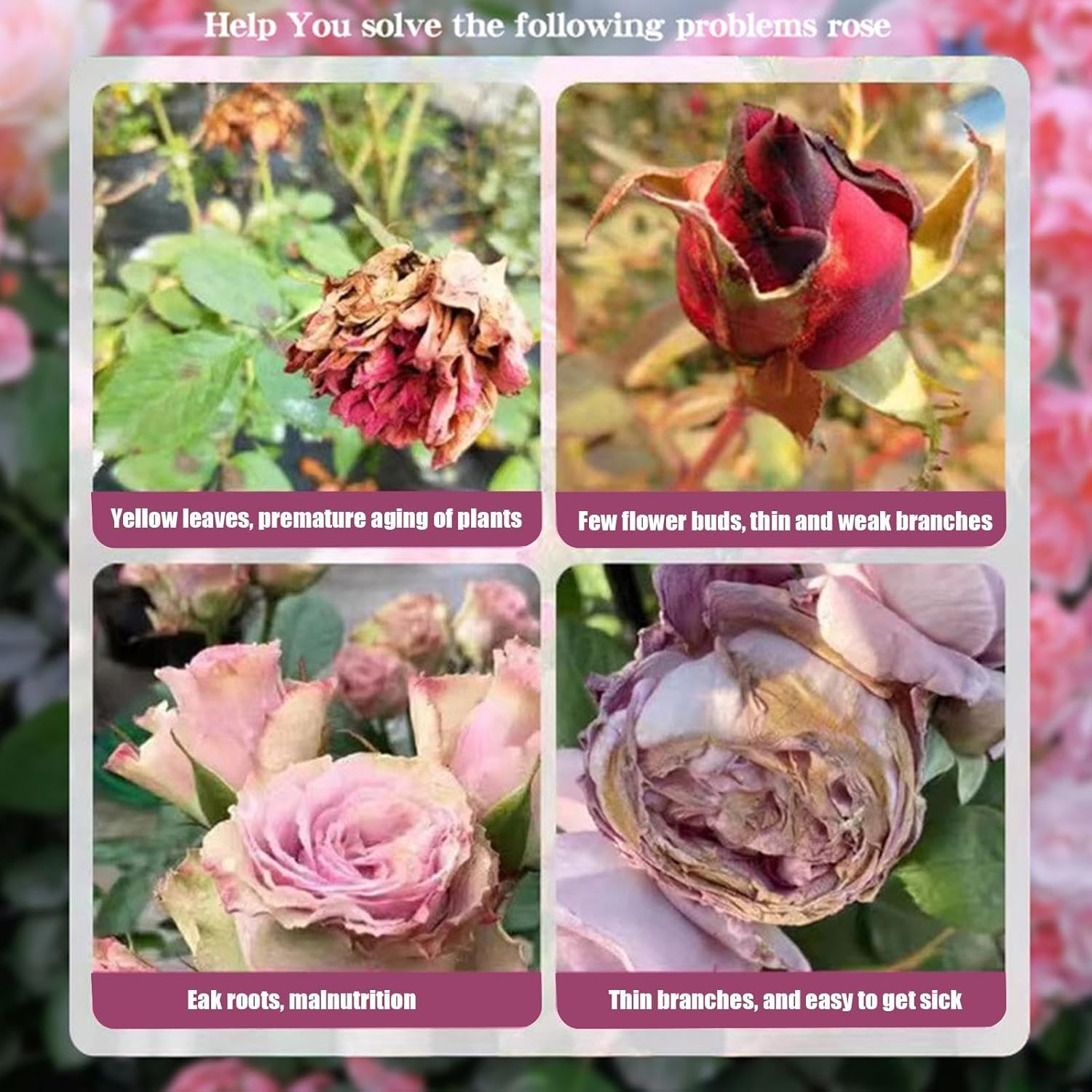 Food Fertilizer - 200G Scientifical Formula Balanced Nutritional Fertilizer,Coating Technology Fertilizer Supplies, Professional Multifunctional Gardening Tools for Park image number 6