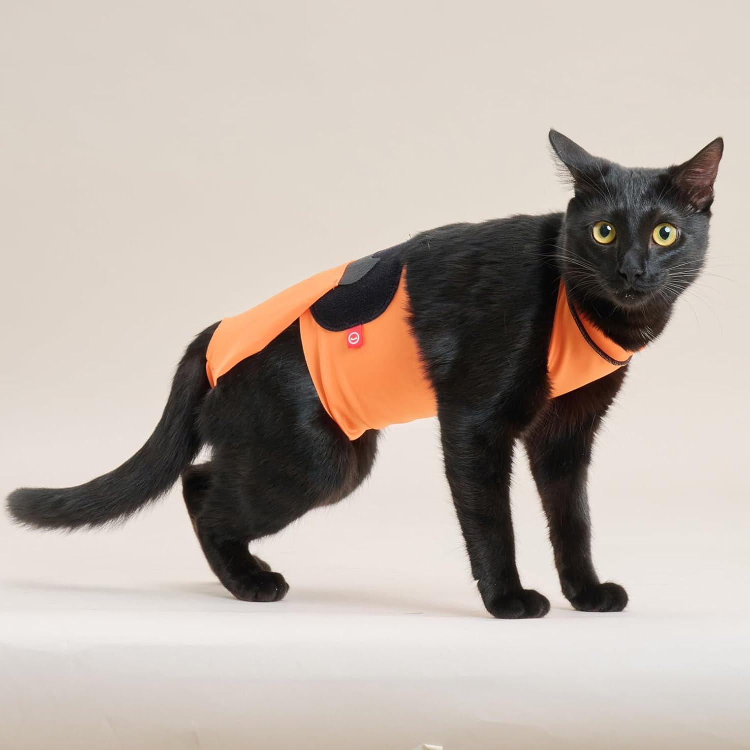 Anifull Scratching Apron for Cats, Orange, Small image number 2