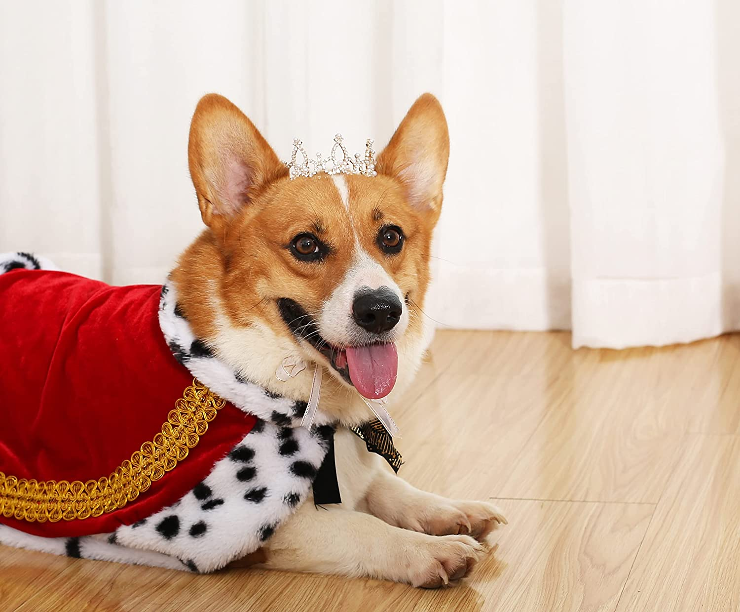 Lovelyshop Pet Series Gold Plated Royal Rhinestone Pearl Full round Dog/Cat Crown for Costume Hair Accessories-Xsmall Size