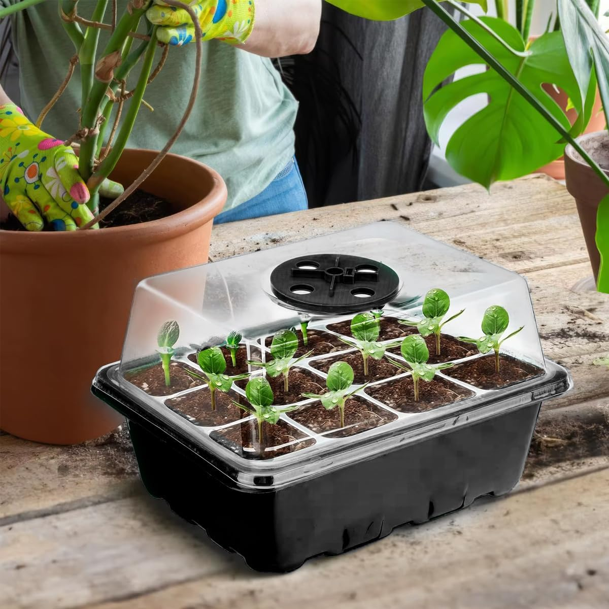 AIMALL Plastic Seedling Tray with Transparent Lid, 9 Cells, Seedling Pot Set for Gardening, Thermal Insulation and Moisturizing, 7.28-Inch X 5.7-Inch for Planting and Growing image number 6