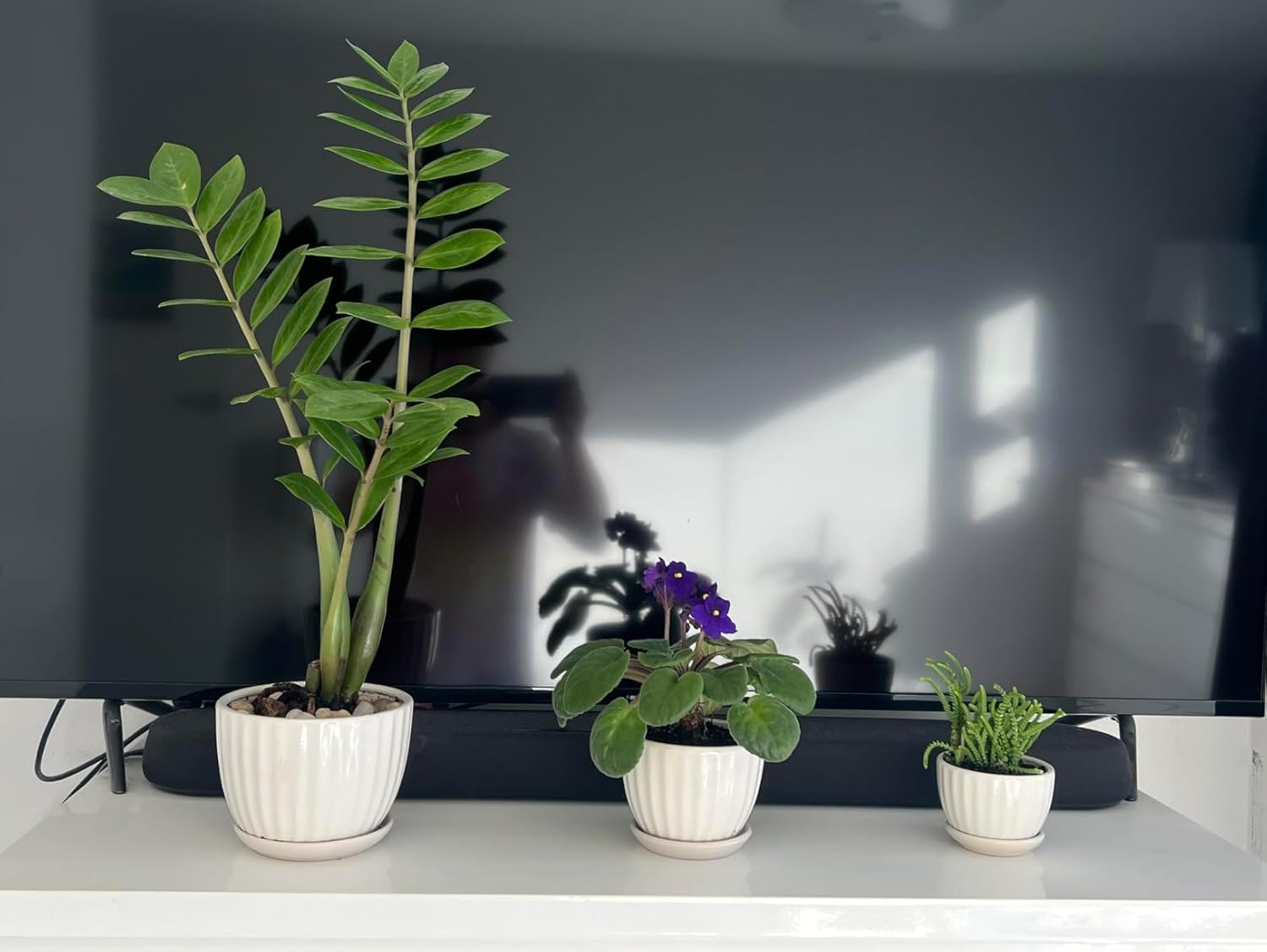 Ceramic Plant Pot 3/4/5 Inch 3 Packs White Indoor/Outdoor Flower Planter with Drainage Holes, Trays for Succulents, Flowers, and Herbs image number 5