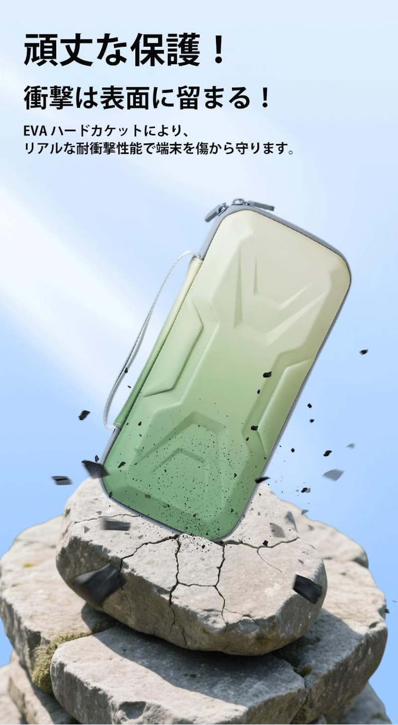 Switch2 Case Black image number 4