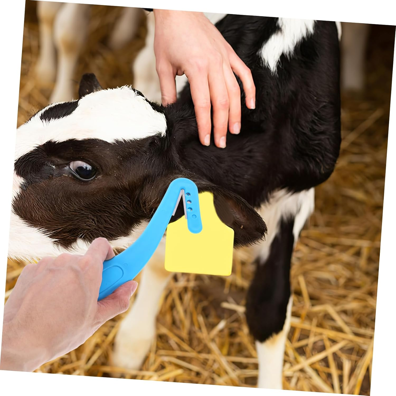 Professional Grade Ear Tag Removal Tool Sharp Ear Tag Cutter for Livestock Pig Sheep Cattle image number 4