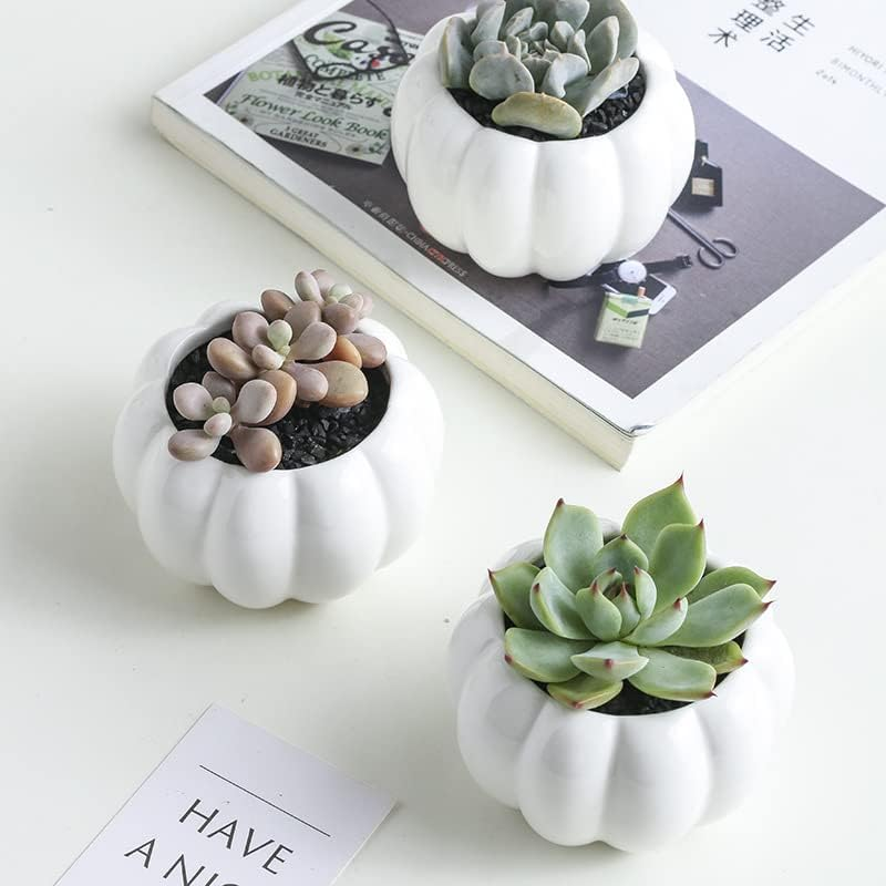 3Pcs Pumpkin Succulent Pots Bamboo Wood Shelf Flower Pot Stand Holder, Modern Minimalist White Ceramic Succulent Planter Pot for Office, Desk, House Balcony（Flower Pot Not Included） image number 3