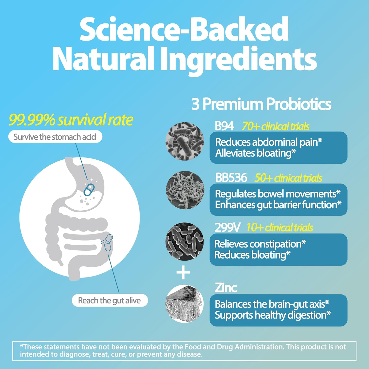 Life-Space IBS Support Probiotic 30 Capsules image number 3