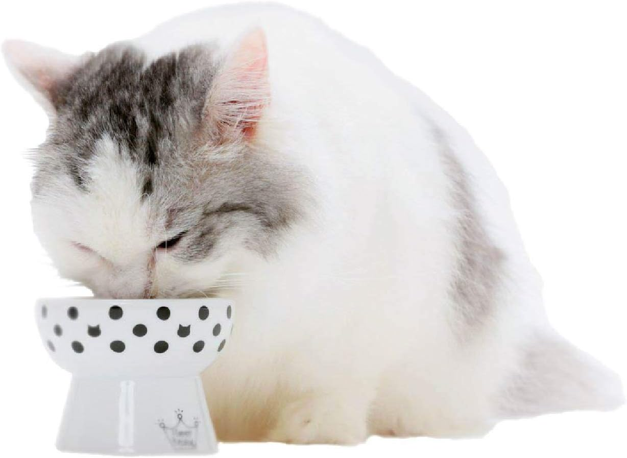 Necoichi Raised Stress Free Cat Food Bowl, Elevated, Backflow Prevention, Dishwasher and Microwave Safe, No.1 Seller in Japan! (Cat Dots, Mini) image number 1