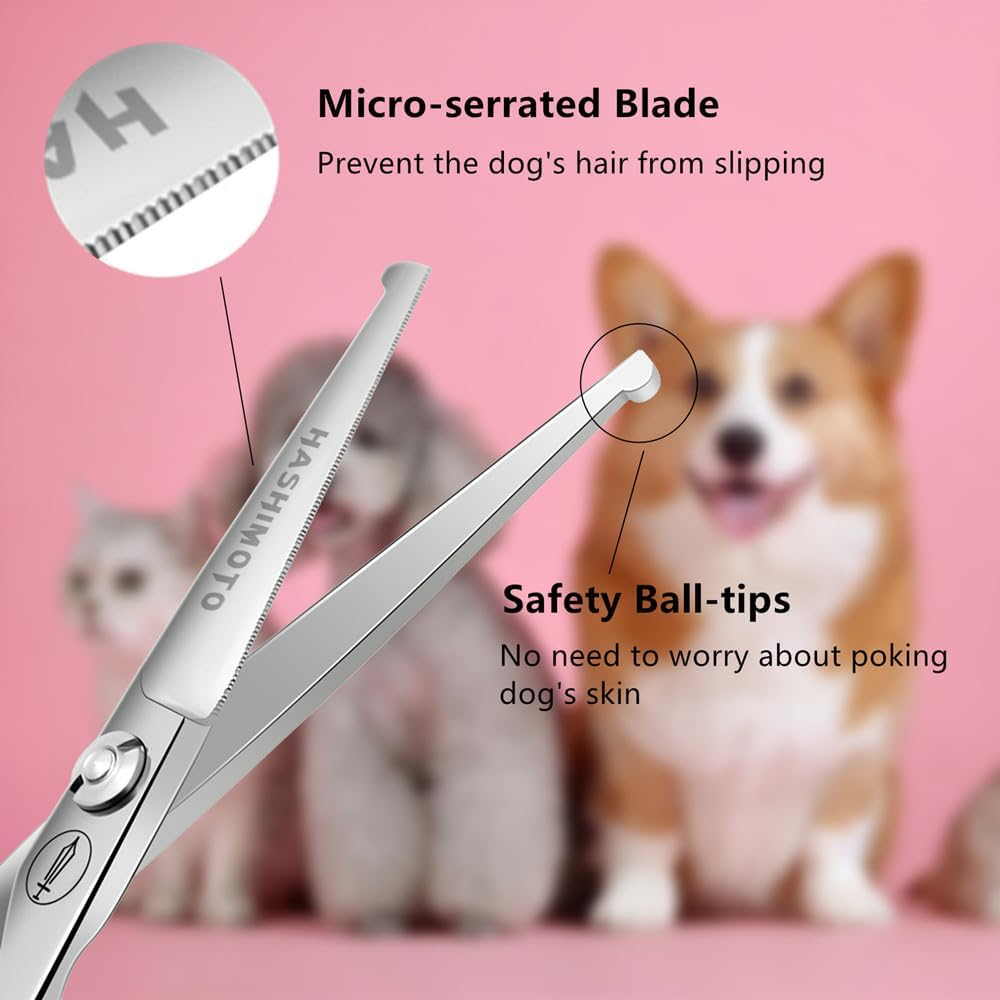 HASHIMOTO Small Dog Scissors with Rounded Tips, 5.0 Inches, Straight Blade with Micro Serration, Designed for Trimming around the Eyes, Ears, Nose and Paws.