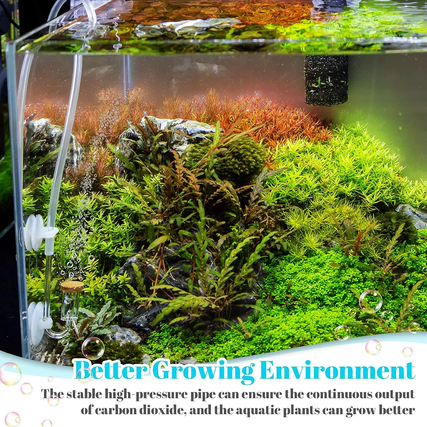 Boao 32.8 Ft Aquarium CO2 Proof Tubing Clear Airline Tubing Aquarium Air Tubing 5/16 Inch with 12 Pcs Suction Cups Aquarium Air Pump Accessories for Fish Tank image number 5