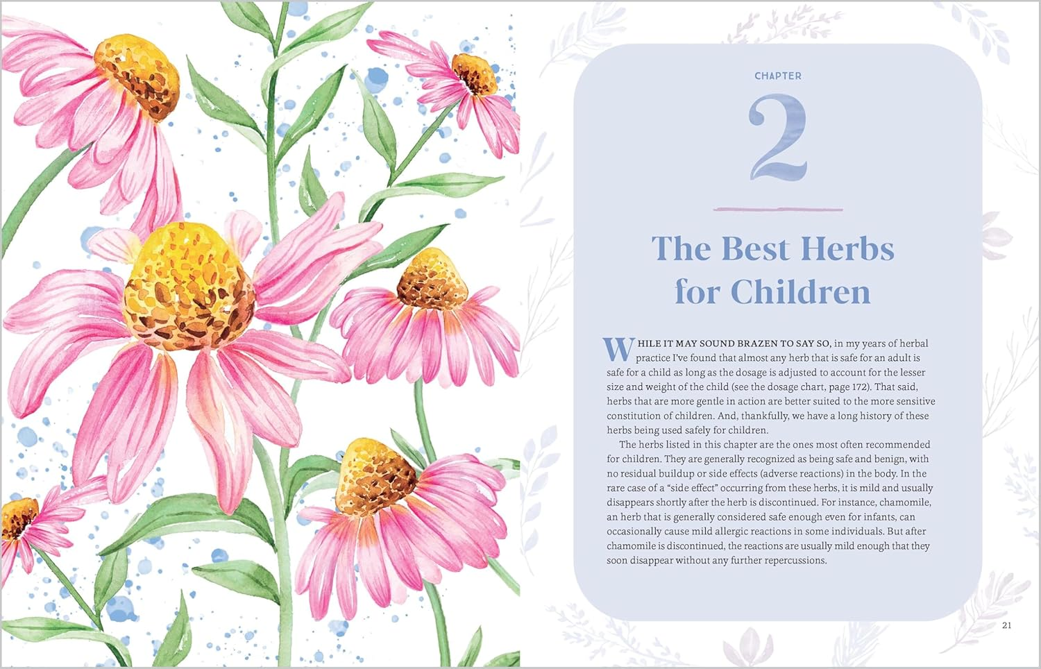 Herbs for Children'S Health: How to Make and Use Gentle Herbal Remedies for Common Childhood Ailments image number 4