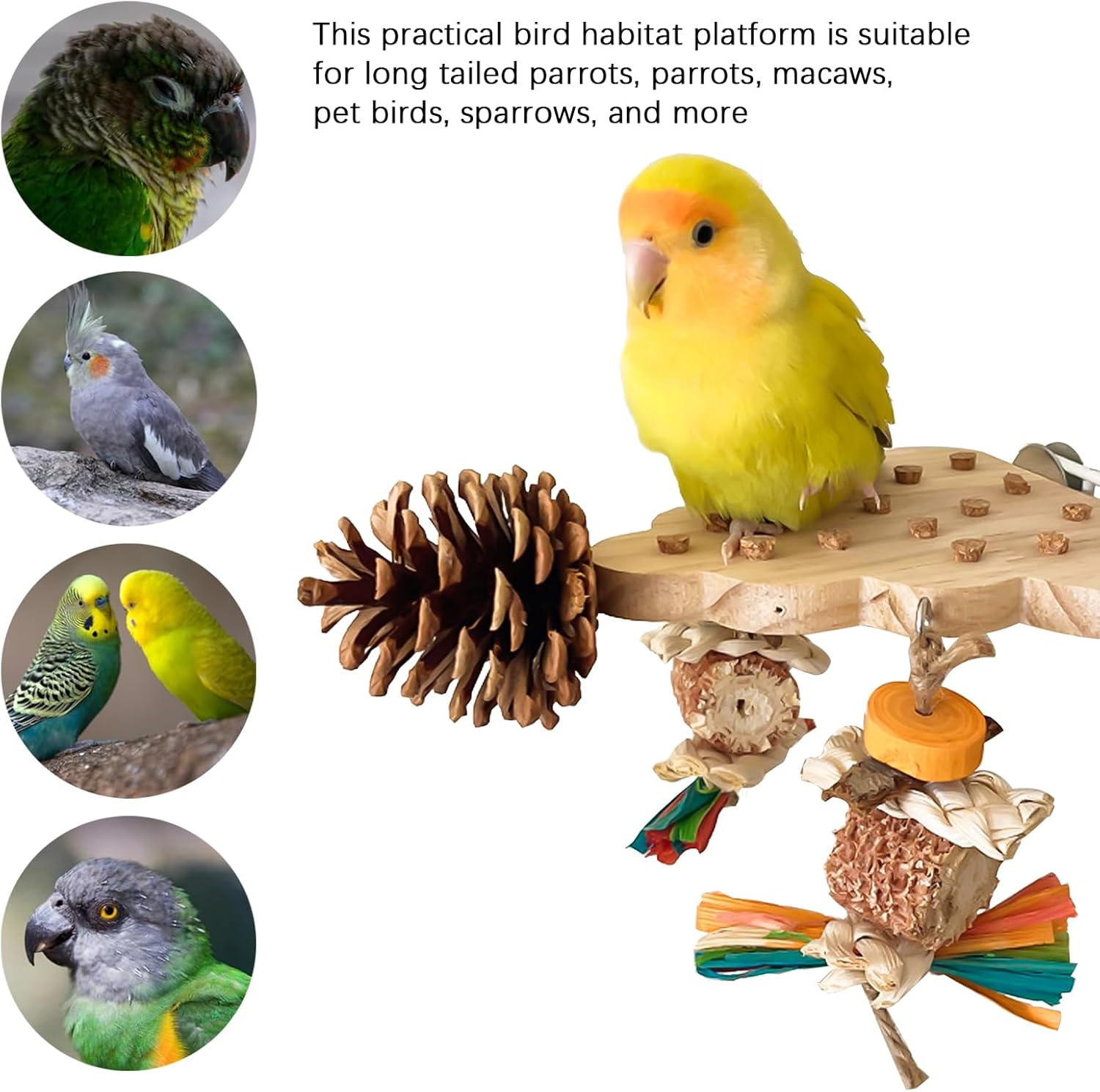 DXQCHDUO Parrot Platform Toys,Wooden Bird Climbing Plaftform with Chew Toys,Corn Stick Pine Cones Parrots Toy,Bird Cage Accessories for Small and Medium-Sized Parrots image number 5
