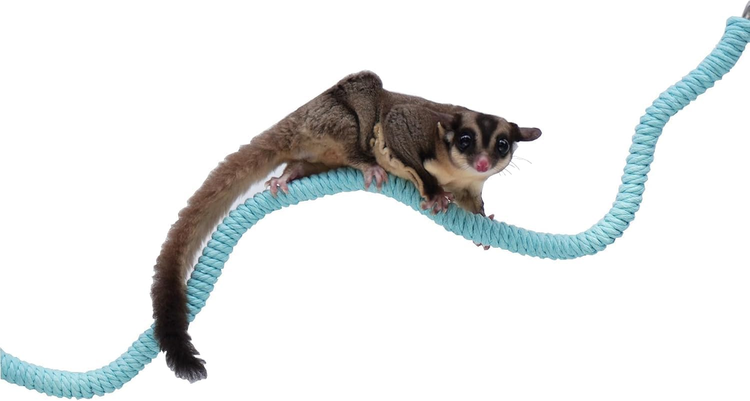 1Pcs Wezxrauo Natural Rope Perch Swing for Birds - Durable Chewable Climbing Toy with Fixed Design, Ideal for Small Parrots Lovebirds Finches Canaries Budgies Cockatiels Cage Accessories