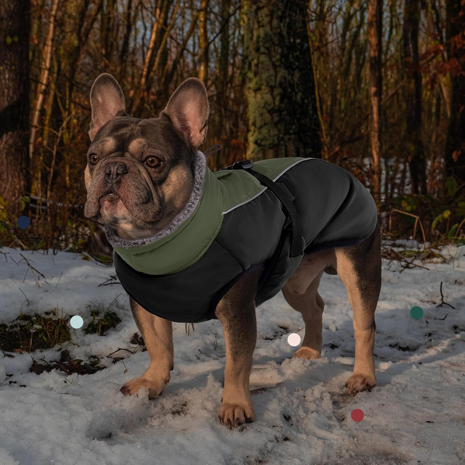 Iecoii Extra Warm Dog Coat Reflective Adjustable Winter Jacket with Buckle Fleece Turtleneck for Cold Weather, Soft for Small Medium Extra Large Dogs, Army Green image number 4