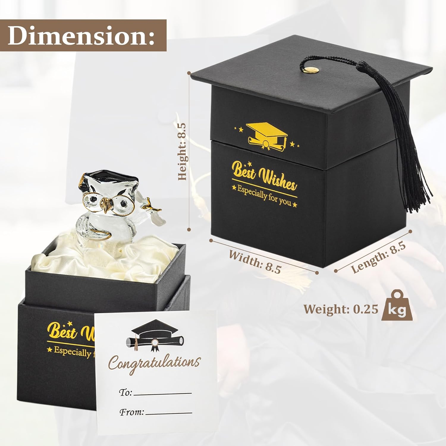 Suprano Graduation Gift Crystal Glass Owl Present Graduation Gifts for Her/Him, Keepsake Ornament in Massage Box image number 2