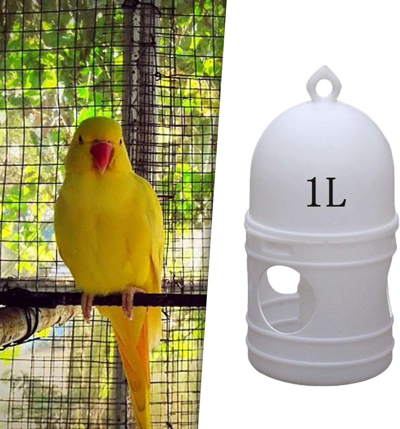 1L Pigeon Water Dispenser Bird Drinker Automatic Bird Water Feeder White, 16X12Cm image number 4