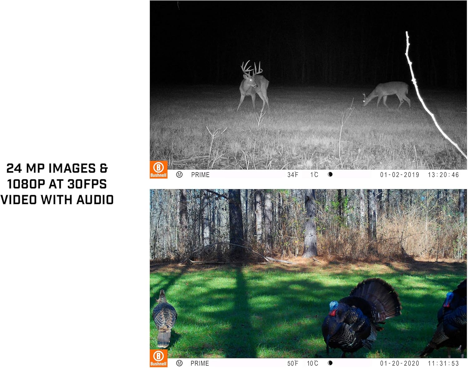 Bushnell by Primos Prime Trail Camera 24Mp_Lowglow_119932C, Brown image number 5