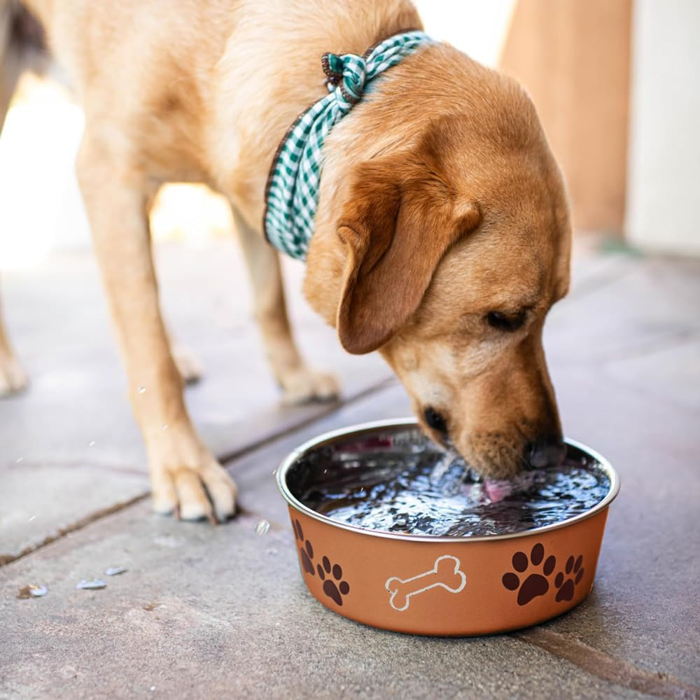 Loving Pets Bella Bowl Metallic Bella Bowls-Copper-Dog Bowl, Copper, X-Large image number 5