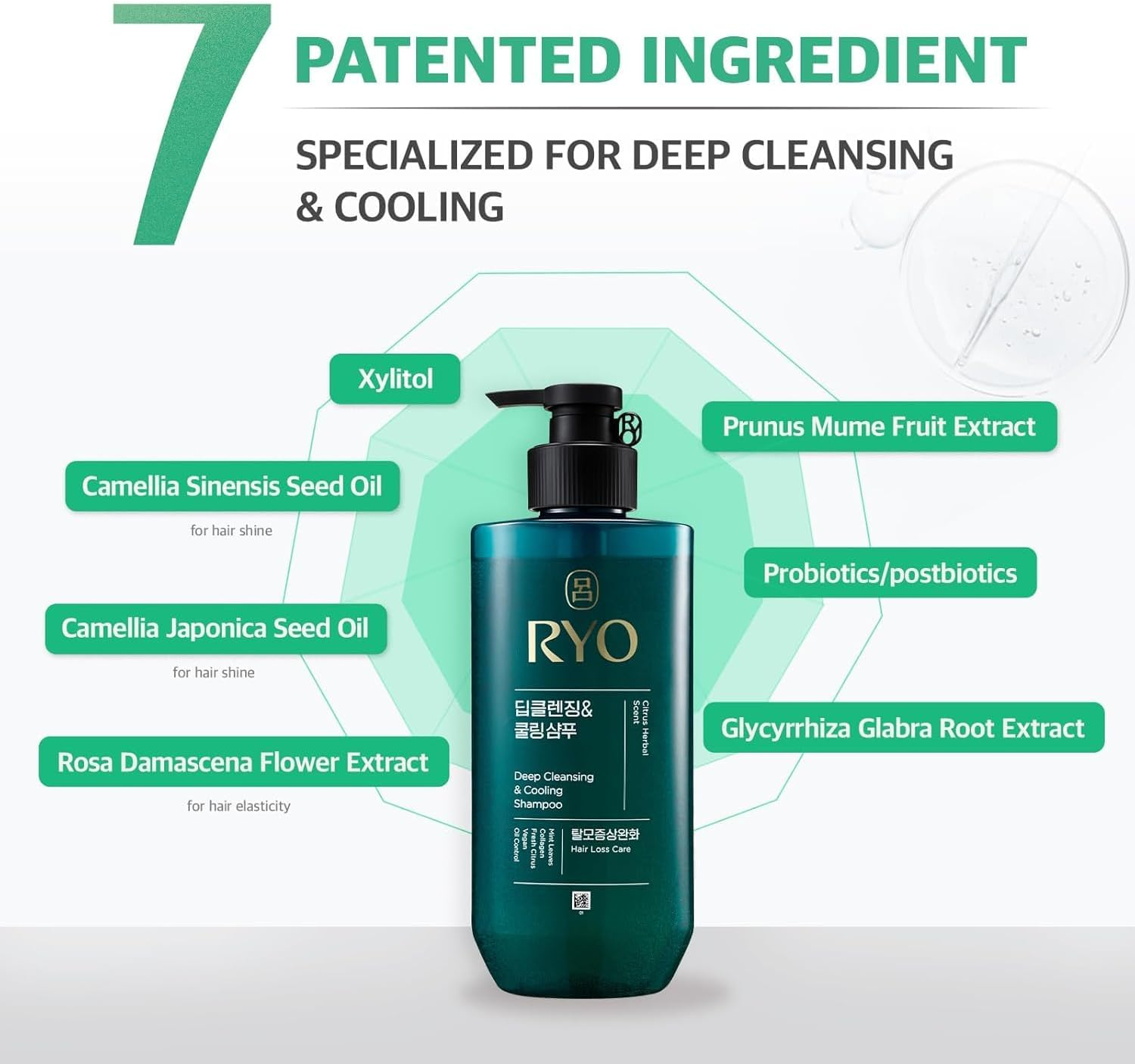 Deep Cleansing Shampoo 480Ml with Korean Ginseng & Caffeine - Cooling and Refreshing for Oily Scalp, Hair Loss Care, Anti-Dandruff, Sebum Control. Korean Beauty Hair Loss Care for Ryo.