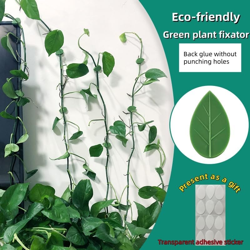 50 Pieces Green Plant Fixator No Trace Adhesive Plant Clips for Climbing Plants Strong Wall Clips for Vine Plants Eco Friendly Plant Wall Clips Easy to Use Space Saving Plant Clips image number 5