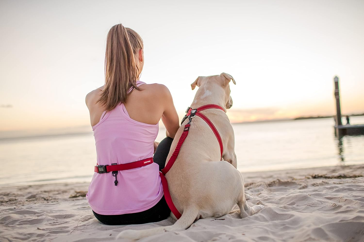 EZYDOG Road Runner Dog Leash Gray image number 3