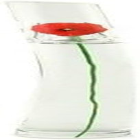 Kenzo Flower Eau De Toilette, 100Ml