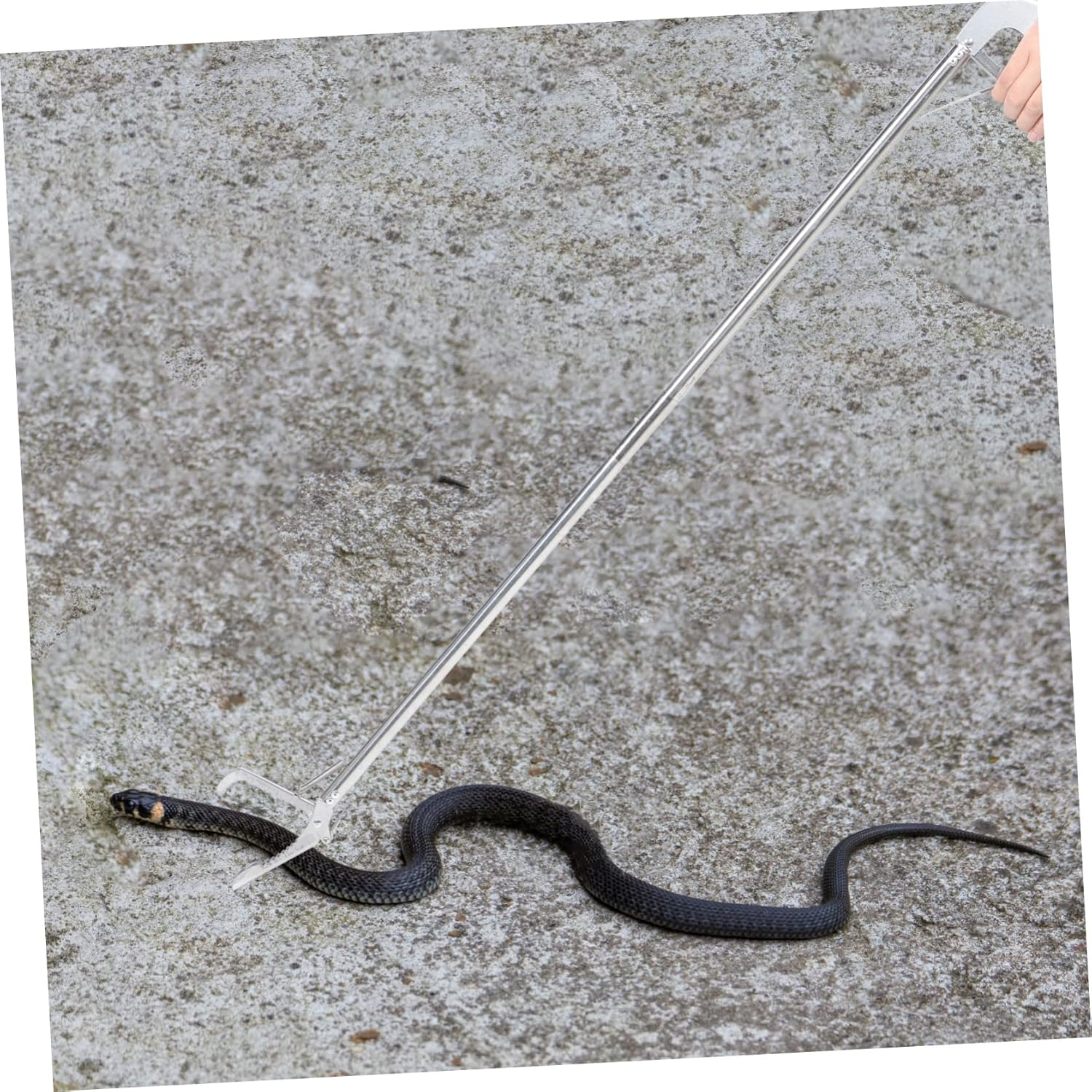 COSMEVIVI Durable Stainless Steel Snake Catcher Tongs Foldable Snake Grabber Tool with Lock for Garden and Zoo Use Non Slip Grip Snake Sticks image number 2