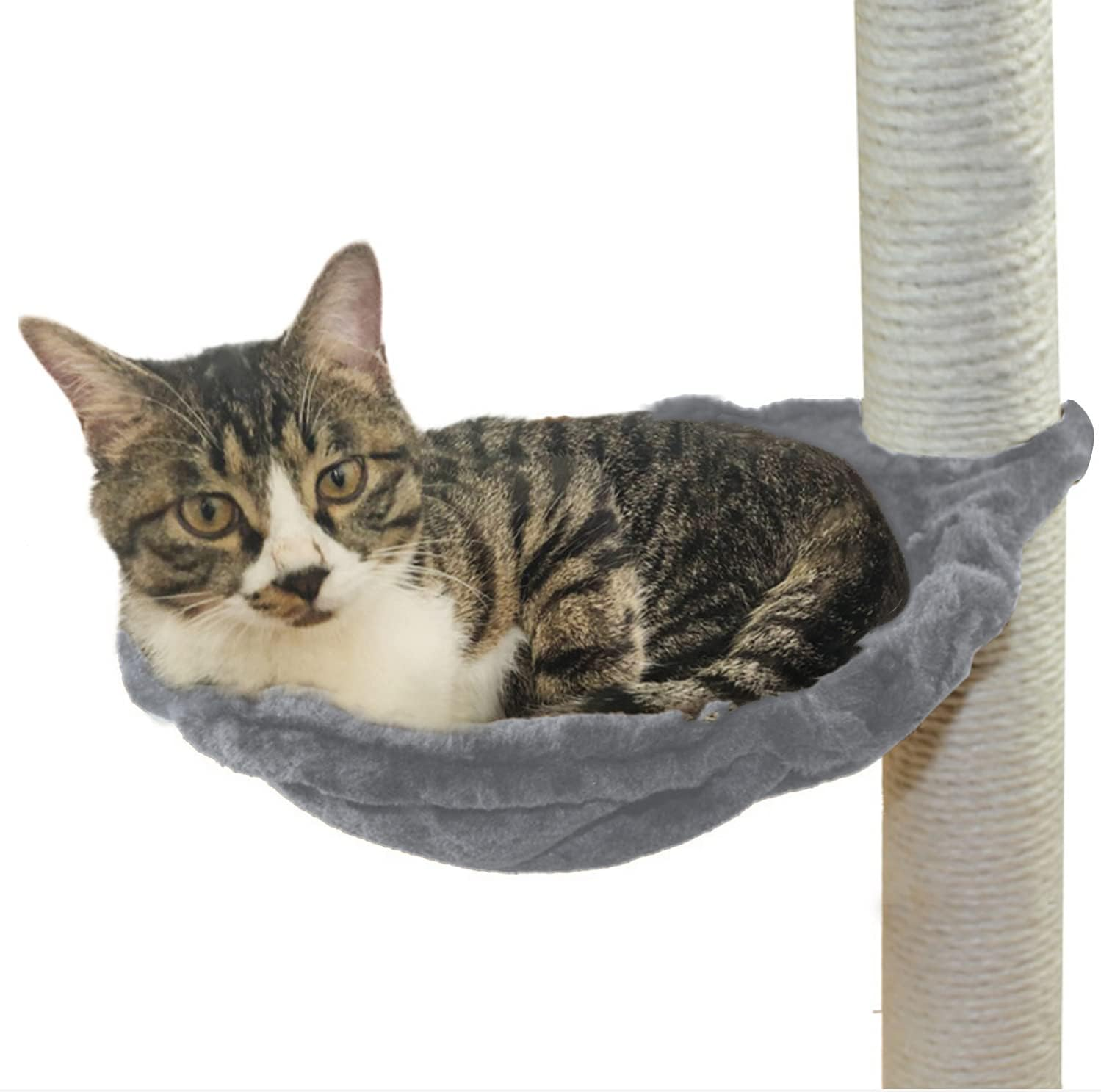 Shengocase 2-Pack 13.2'' Large Grey Cat Tree Tower Replacement Basket Lounger Hammock Bed, 5Pcs Hanging Pom-Pom Toys with Elastic Strings, Cat Tree Accessories Hammock Attachment image number 3