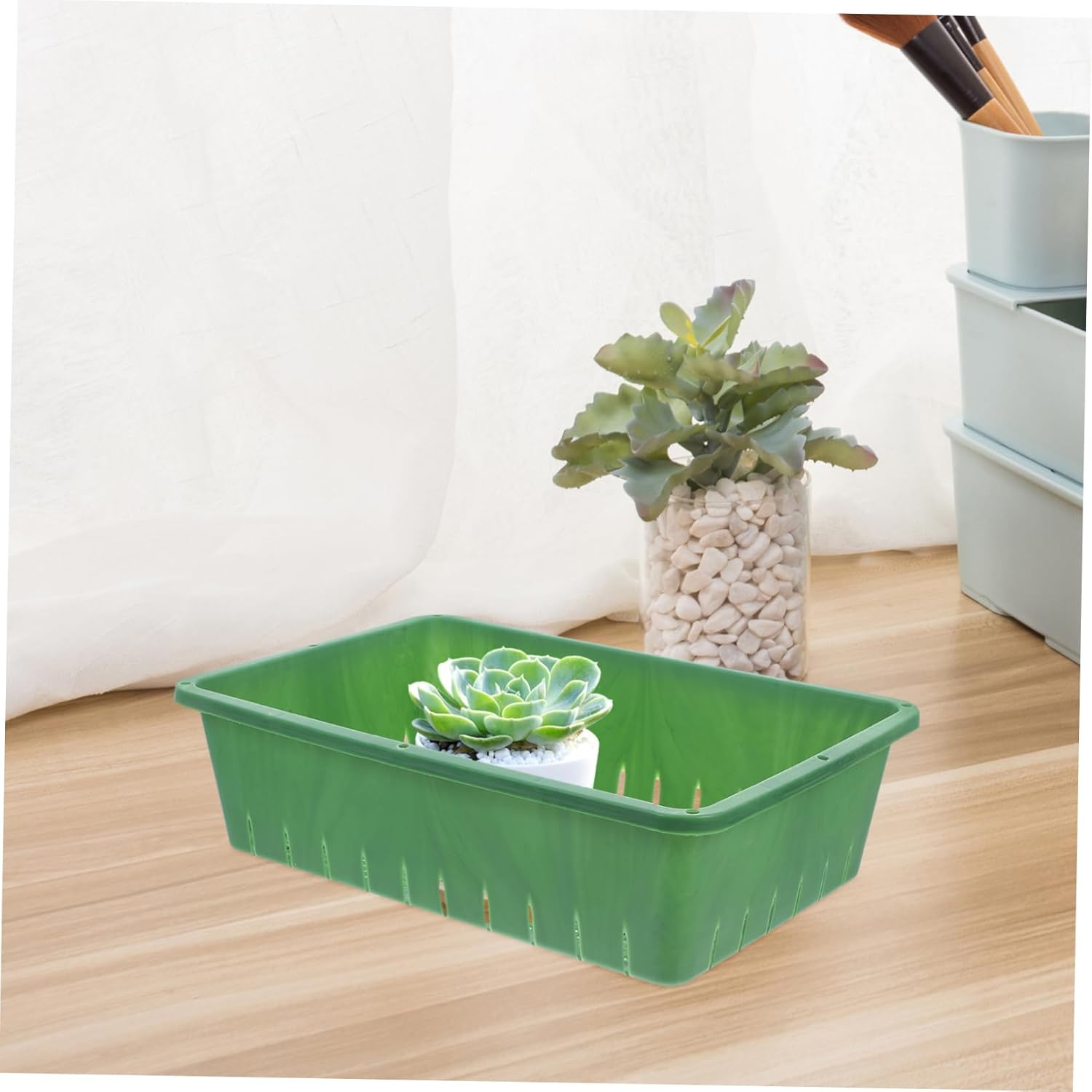 PHENOFICE 2 Pcs Plastic Seedling Tray for Indoor Gardening, 26X18X7Cm Small Rectangular Sprouting Tray Breathable Design for Seed Starting and Succulent Germination image number 1