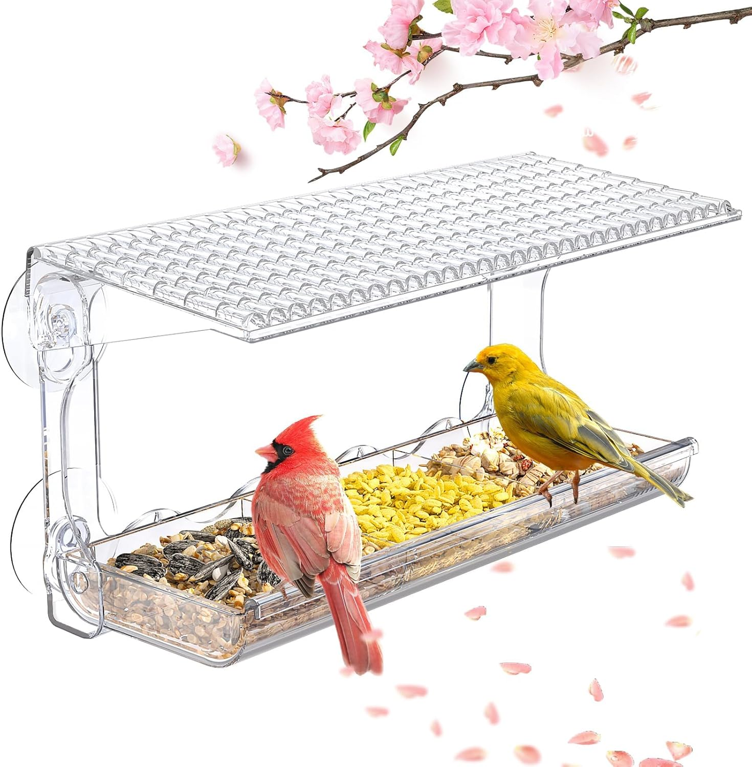 Bird Feeder Backyard, Bird Feeders for outside Window with Strong Suction Cups, Transparent Bird House outside Wild Bird Watching for Garden, Yard, Elderly Kids Viewing Birding & Wildlife image number 6
