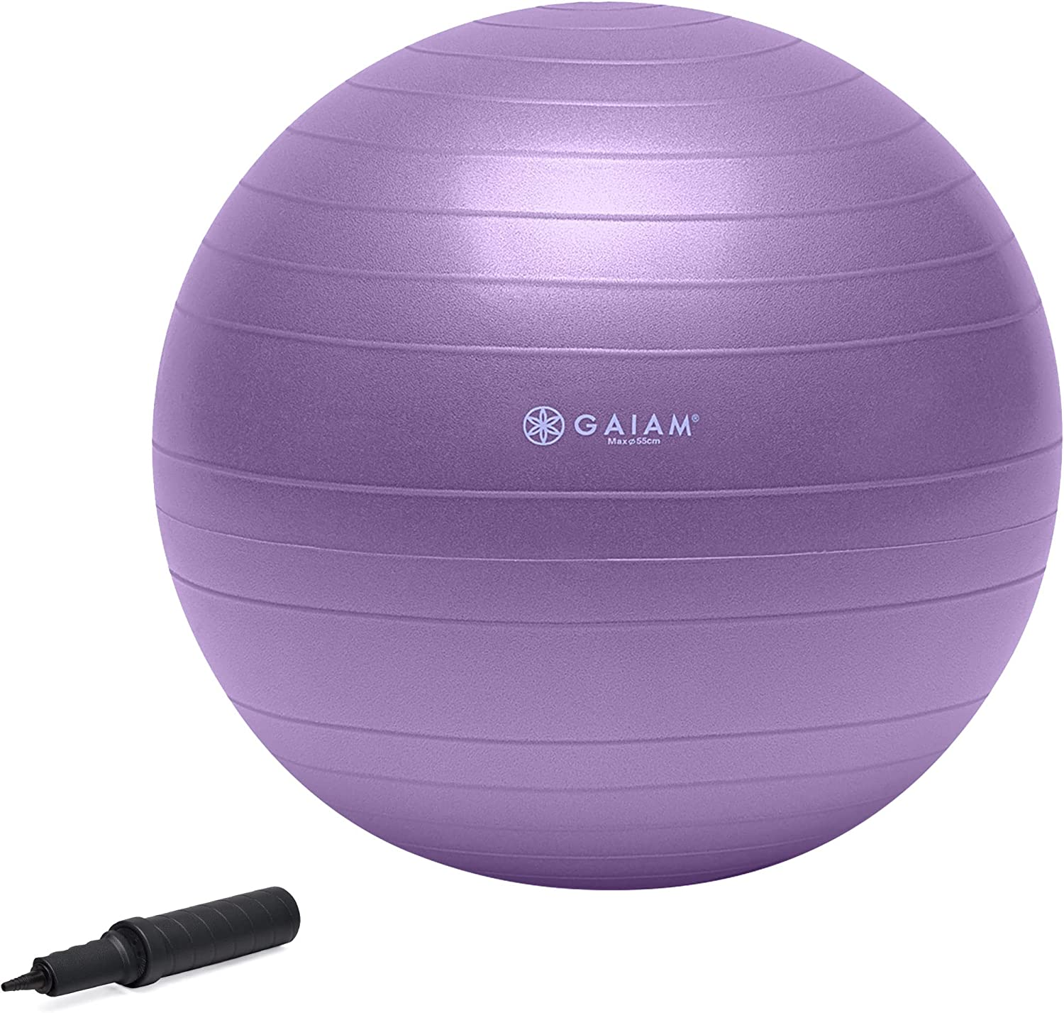 Gaiam Total Body Balance Ball Kit - Includes Anti-Burst Stability Exercise Yoga Ball, Air Pump, Workout Program image number 3