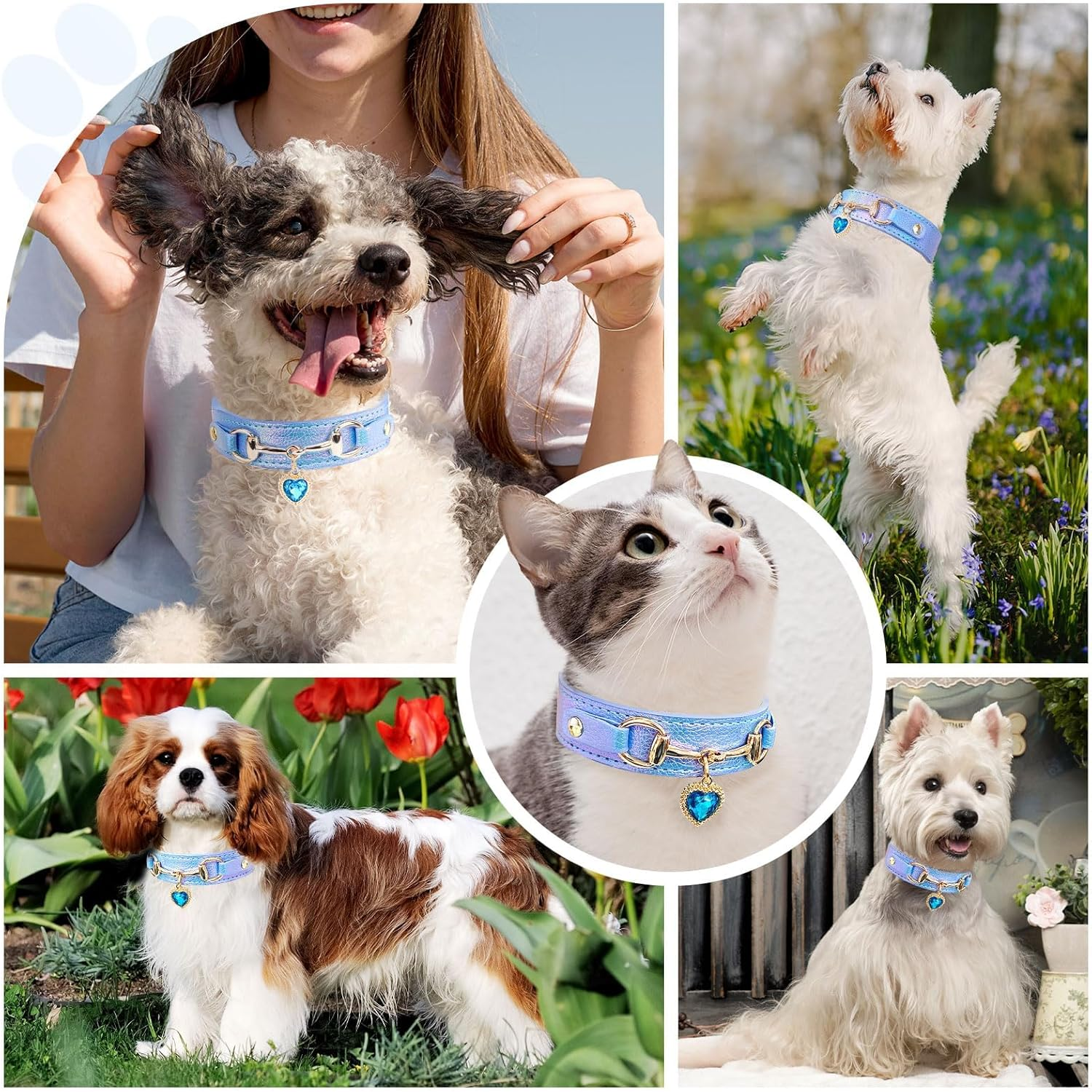 Cute Small Dog Cat Collar, Unique PU Leather - Bling Sparkle in the Sunlit, Puppy Collars with Rhinestone Heart Pendant, Pet Dog Necklace Collar Chihuahua (Blue, XS (Neck 8"-10")) image number 2