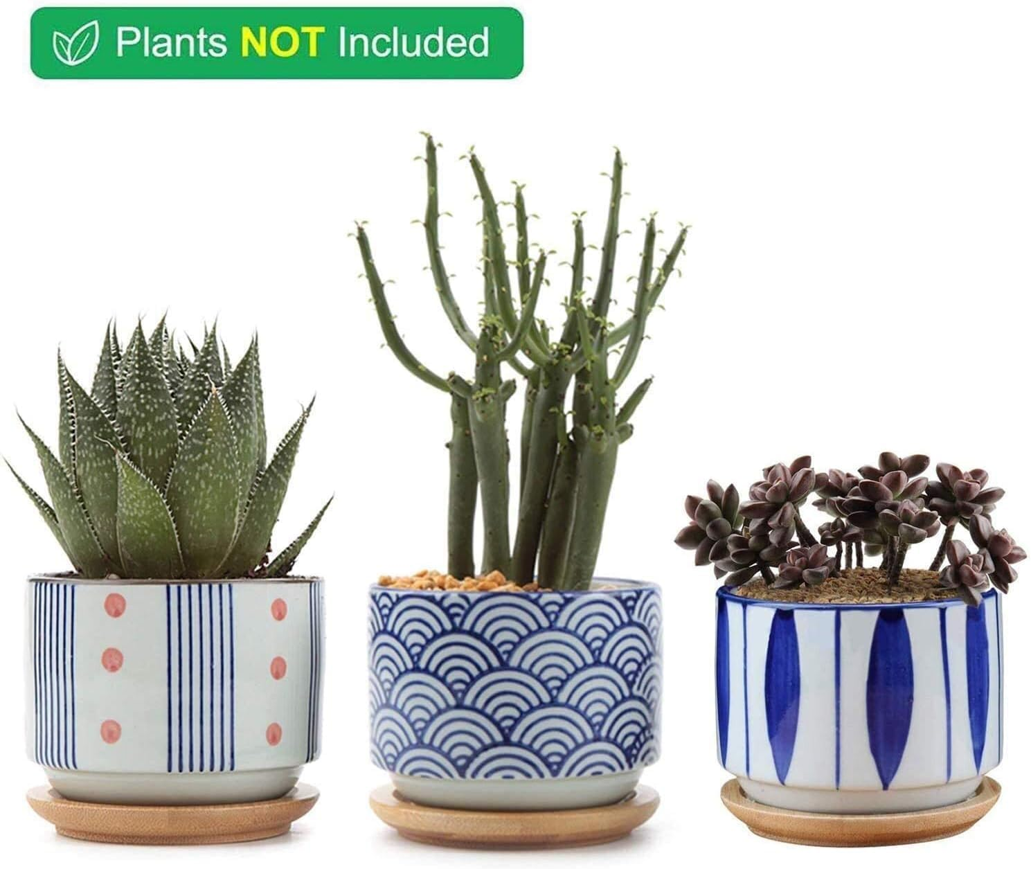 Succulent Planter Pots with Bamboo Tray Set of 3, 3 Inch Ceramic Pots for Plants, Japanese Style Planter, Plant Lover for Women Wife Mom Aunt, Cute Home Office Decoration image number 1