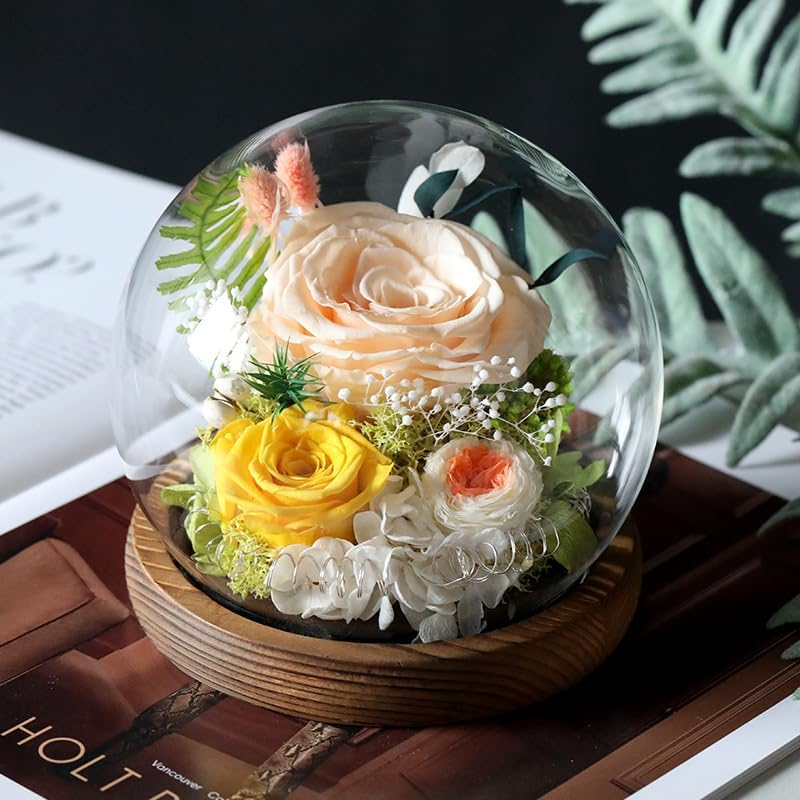 Rose in Glass Dome, Long-Lasting Real Flowers, with LED Light, Unique for Mother'S Day & Christmas & Valentine'S Day, Preserved Flowers Rose Gifts for Wife Girlfriend Mom (Red)
